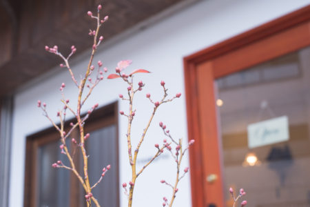 ブルーベリーのつぼみ