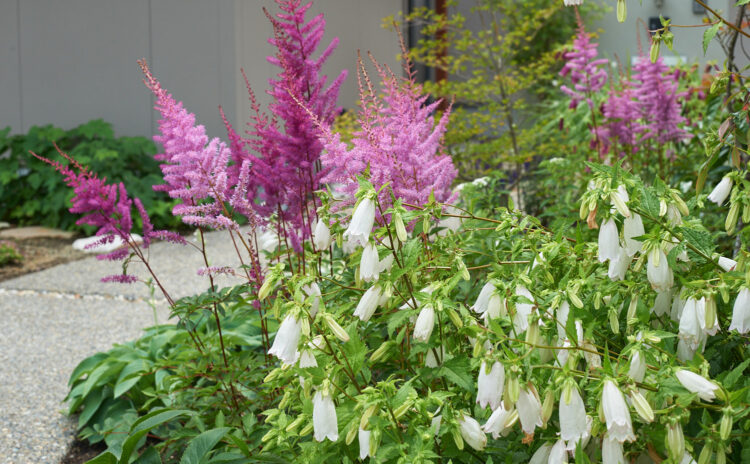 庭のある生活・ナチュラルガーデン