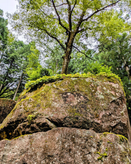 金山巨石群（岩屋岩蔭遺跡）