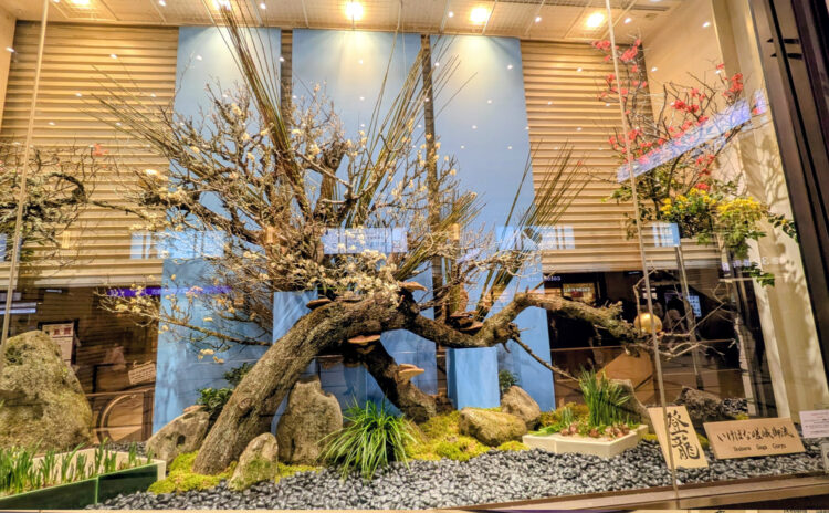 阪急うめだ本店の新春生花