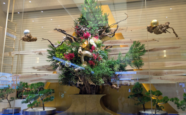 阪急うめだ本店の新春生花
